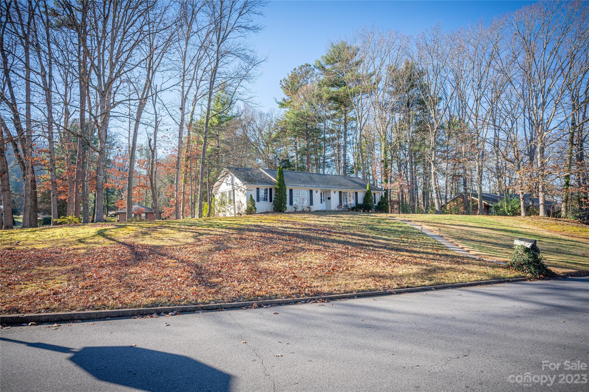 11 Highlander Road Asheville, NC 28804 - Photo 5 of 45 Gallery Image 5