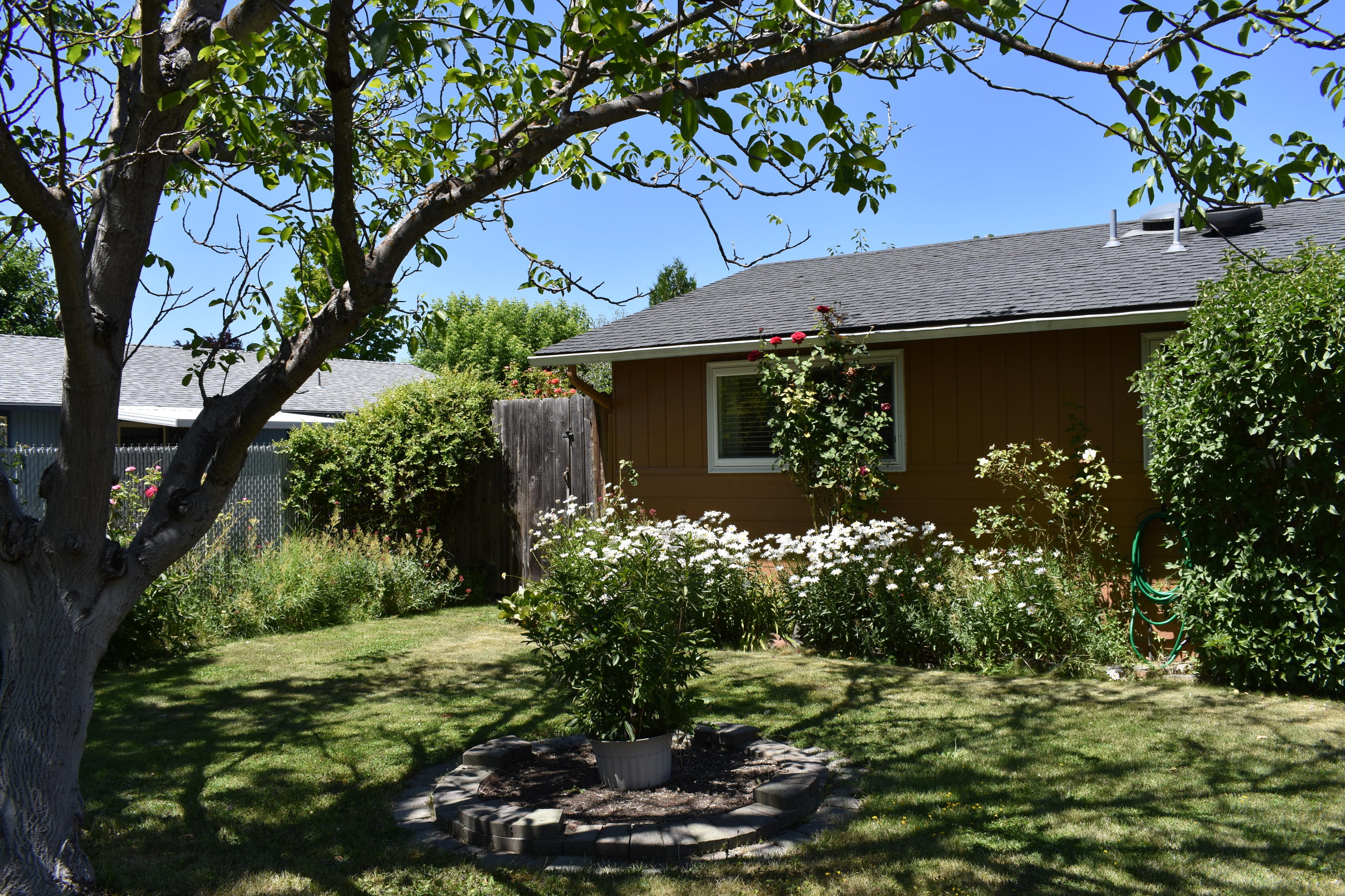 654 Laurel Street Eagle Point, OR 97524 - Photo 3 of 22 DSC_0277