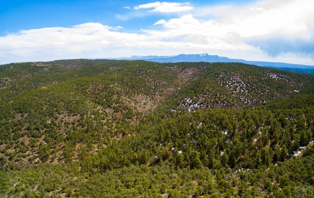 Tbd Turkey Run Trinidad, CO 81082 - Photo 59 of 60