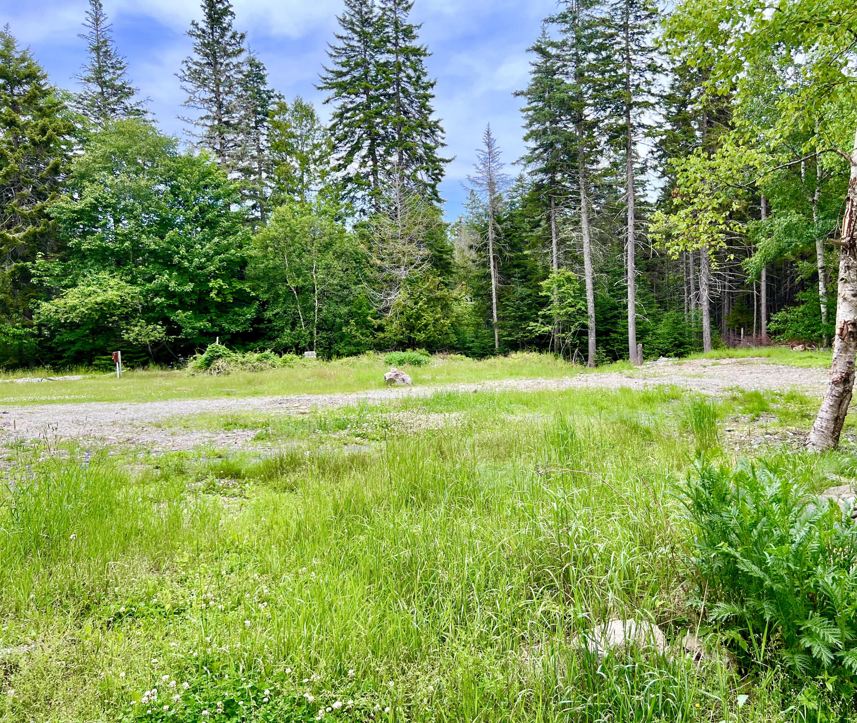 56 Dodge Point Road Tremont, ME 04612 - Photo 4 of 26 Sunny setting