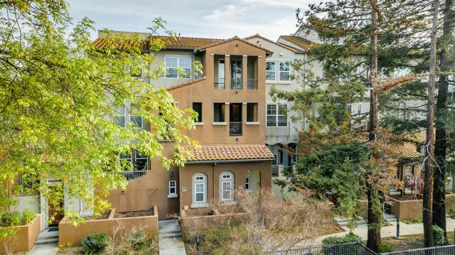 front view of house with a tree