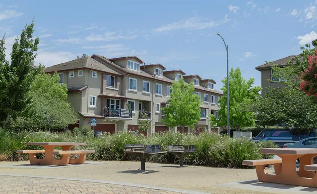 a view of a garden with plants and large trees