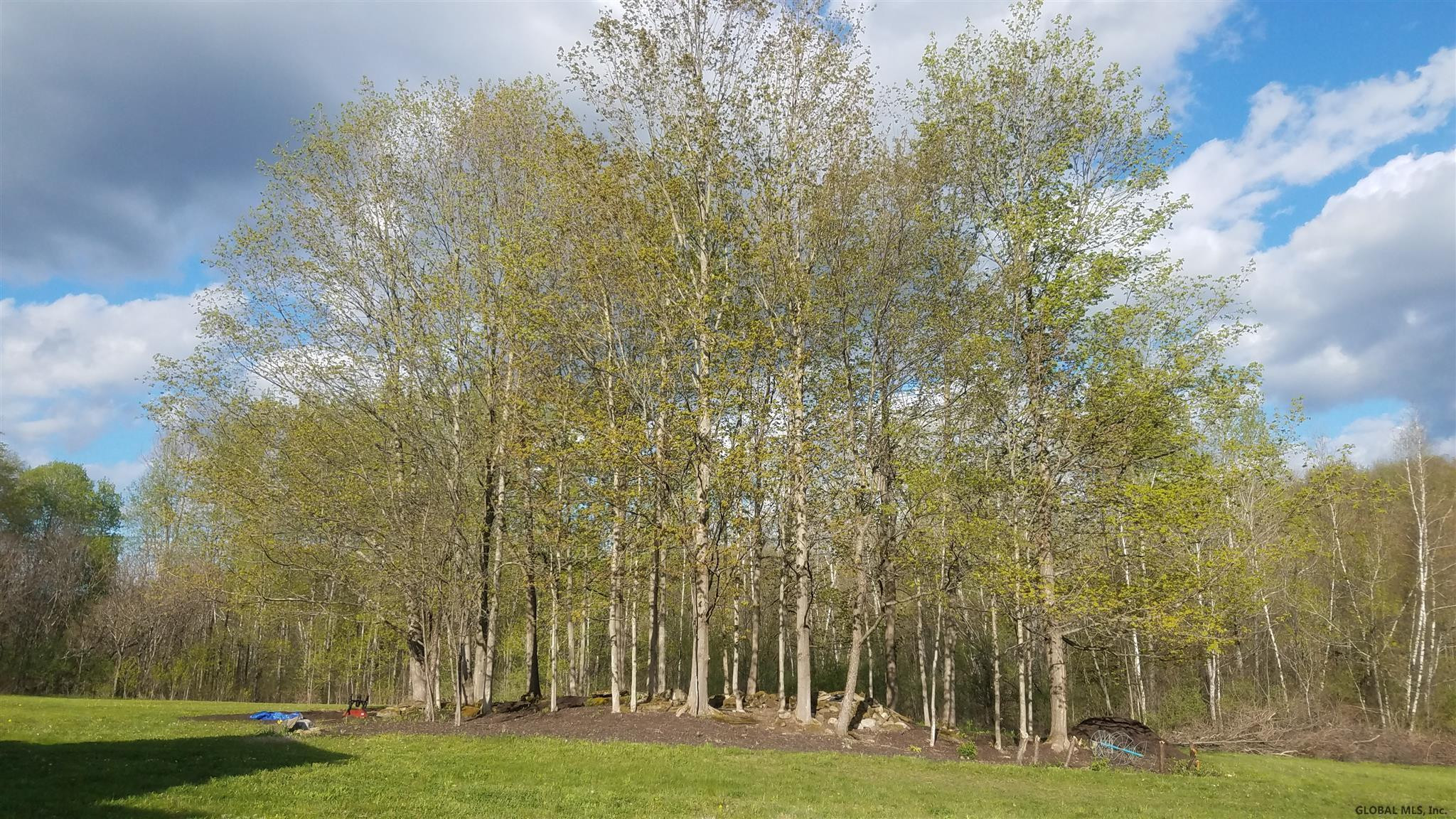 1809 Potter Road Amsterdam, NY 12010 - Photo 15 of 22 Photo 15