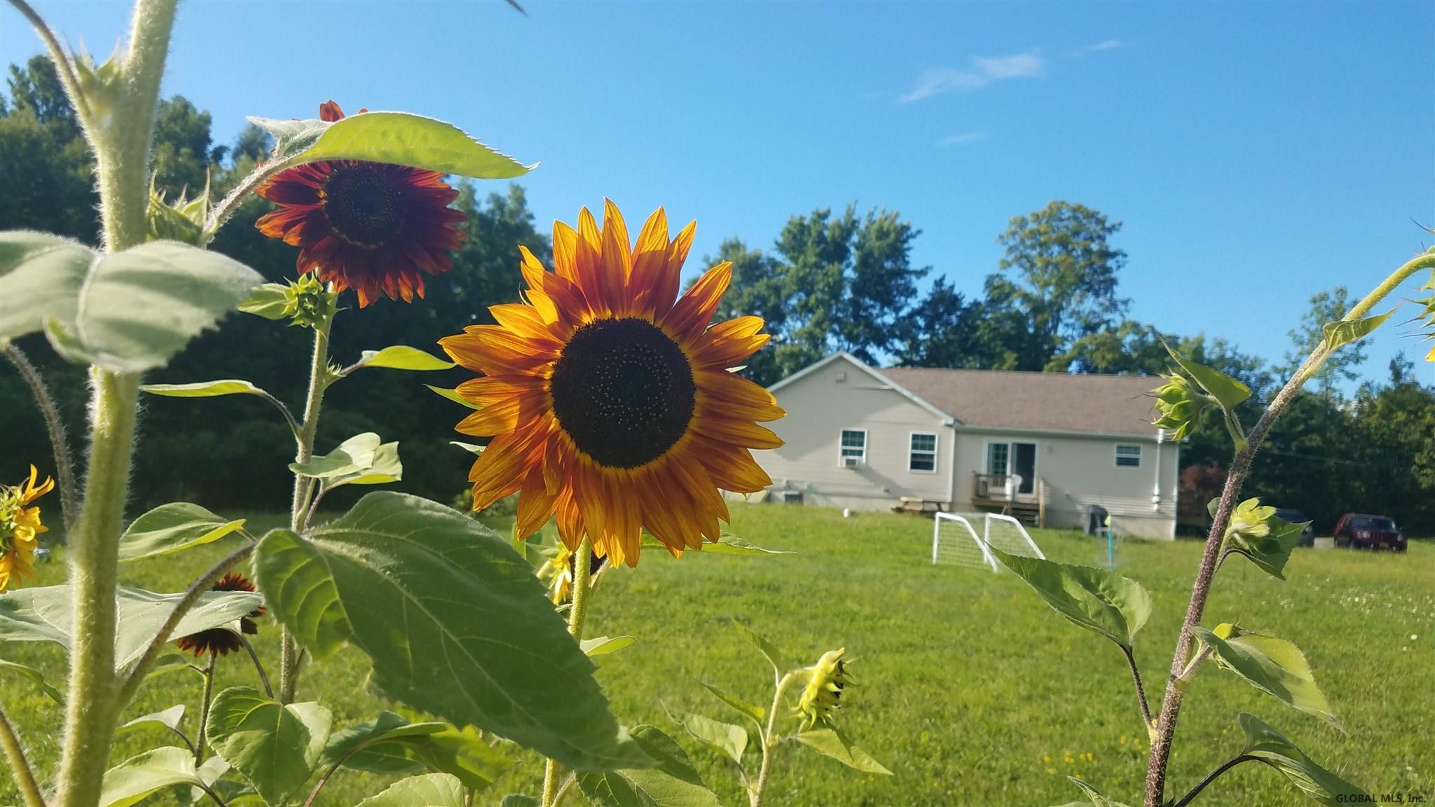 1809 Potter Road Amsterdam, NY 12010 - Photo 16 of 22 Photo 16
