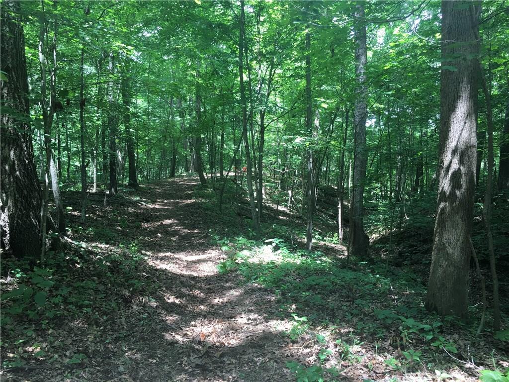 0 Wagon Track Road Martinsville, IN 46151 - Photo 11 of 25 Gallery Image 11