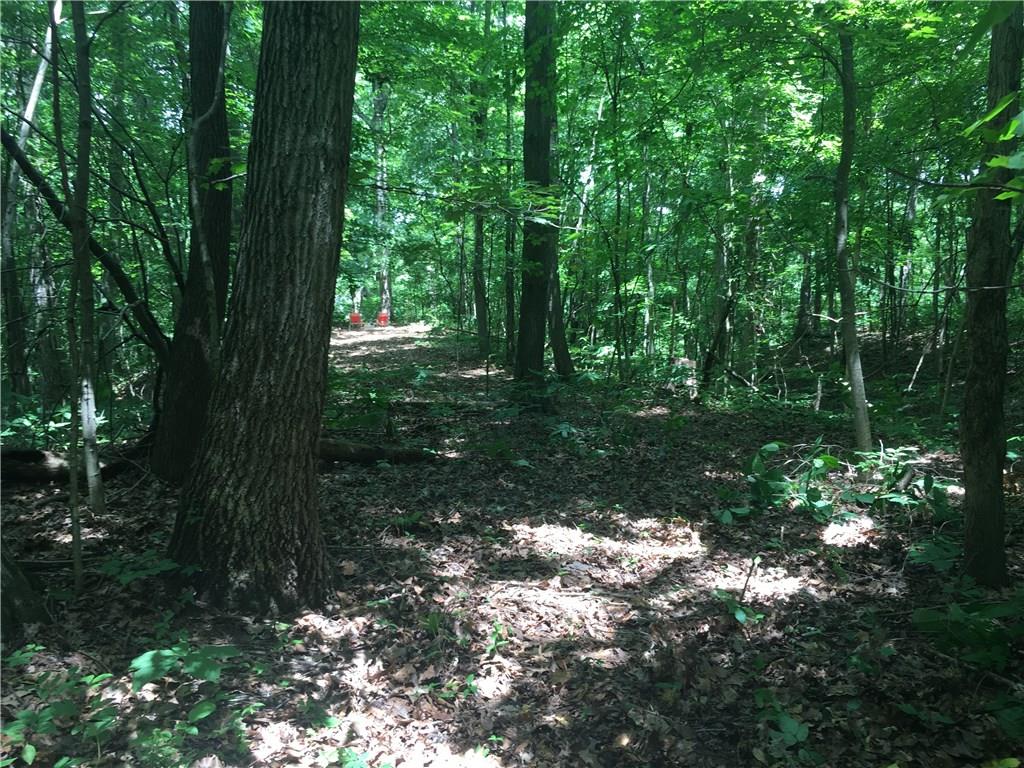 0 Wagon Track Road Martinsville, IN 46151 - Photo 12 of 25 Gallery Image 12