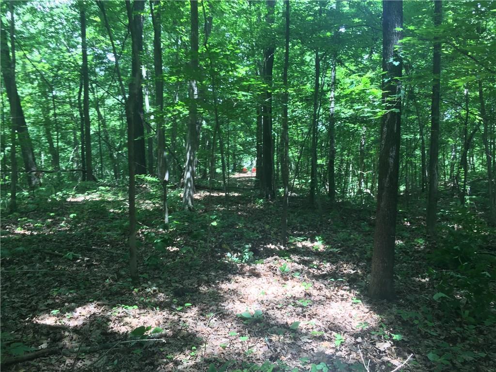 0 Wagon Track Road Martinsville, IN 46151 - Photo 13 of 25 Gallery Image 13