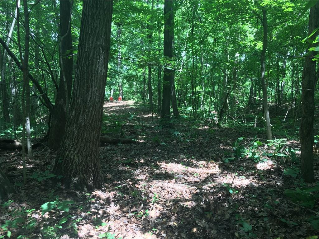 0 Wagon Track Road Martinsville, IN 46151 - Photo 14 of 25 Gallery Image 14
