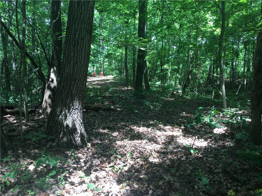 0 Wagon Track Road Martinsville, IN 46151 - Photo 15 of 25 Gallery Image 15