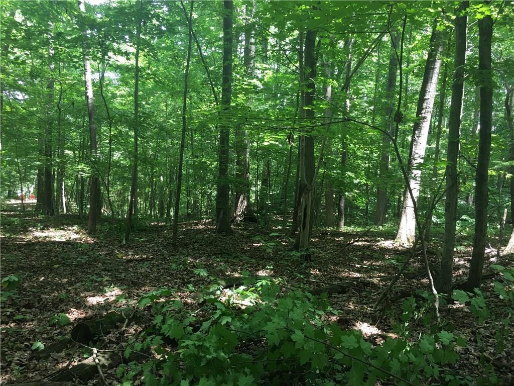 0 Wagon Track Road Martinsville, IN 46151 - Photo 16 of 25 Gallery Image 16