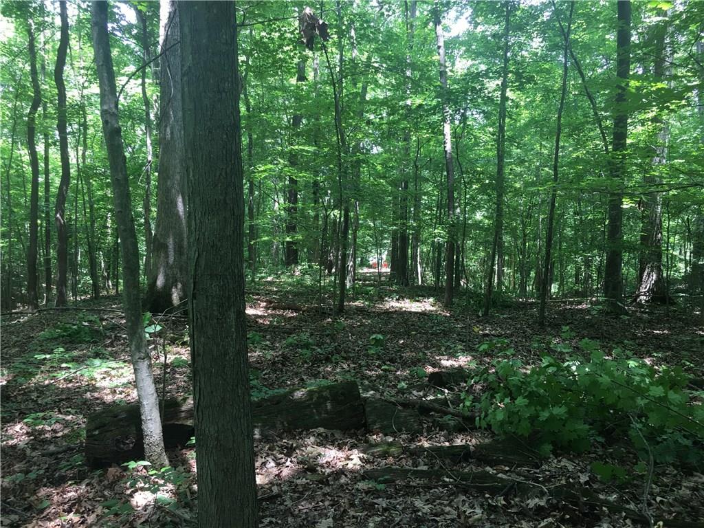 0 Wagon Track Road Martinsville, IN 46151 - Photo 17 of 25 Gallery Image 17