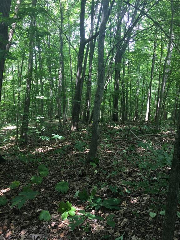 0 Wagon Track Road Martinsville, IN 46151 - Photo 20 of 25 Gallery Image 20