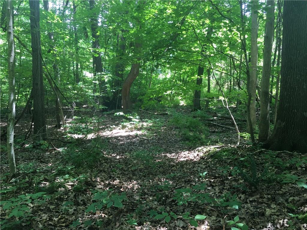 0 Wagon Track Road Martinsville, IN 46151 - Photo 21 of 25 Gallery Image 21