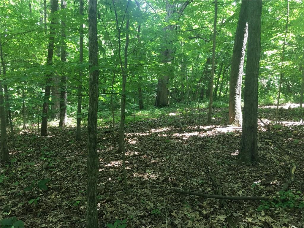0 Wagon Track Road Martinsville, IN 46151 - Photo 22 of 25 Gallery Image 22
