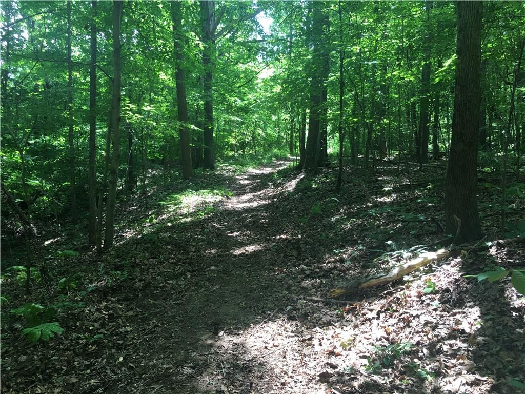 0 Wagon Track Road Martinsville, IN 46151 - Photo 23 of 25 Gallery Image 23