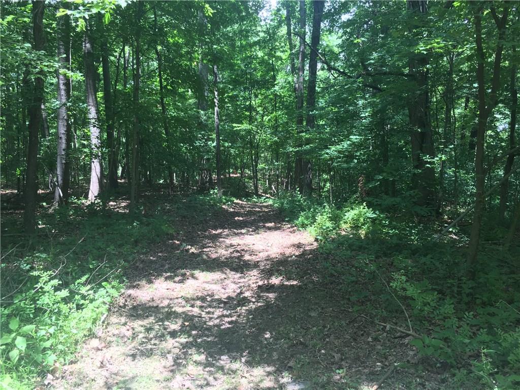 0 Wagon Track Road Martinsville, IN 46151 - Photo 9 of 25 Gallery Image 9