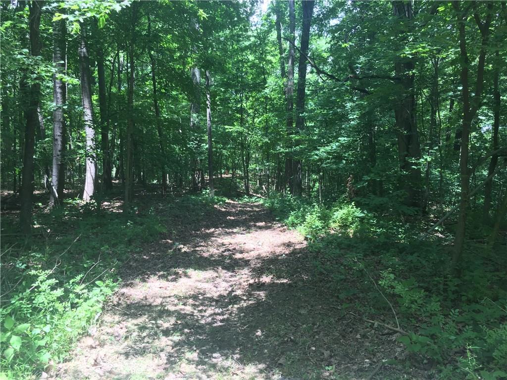 0 Wagon Track Road Martinsville, IN 46151 - Photo 10 of 25 Gallery Image 10