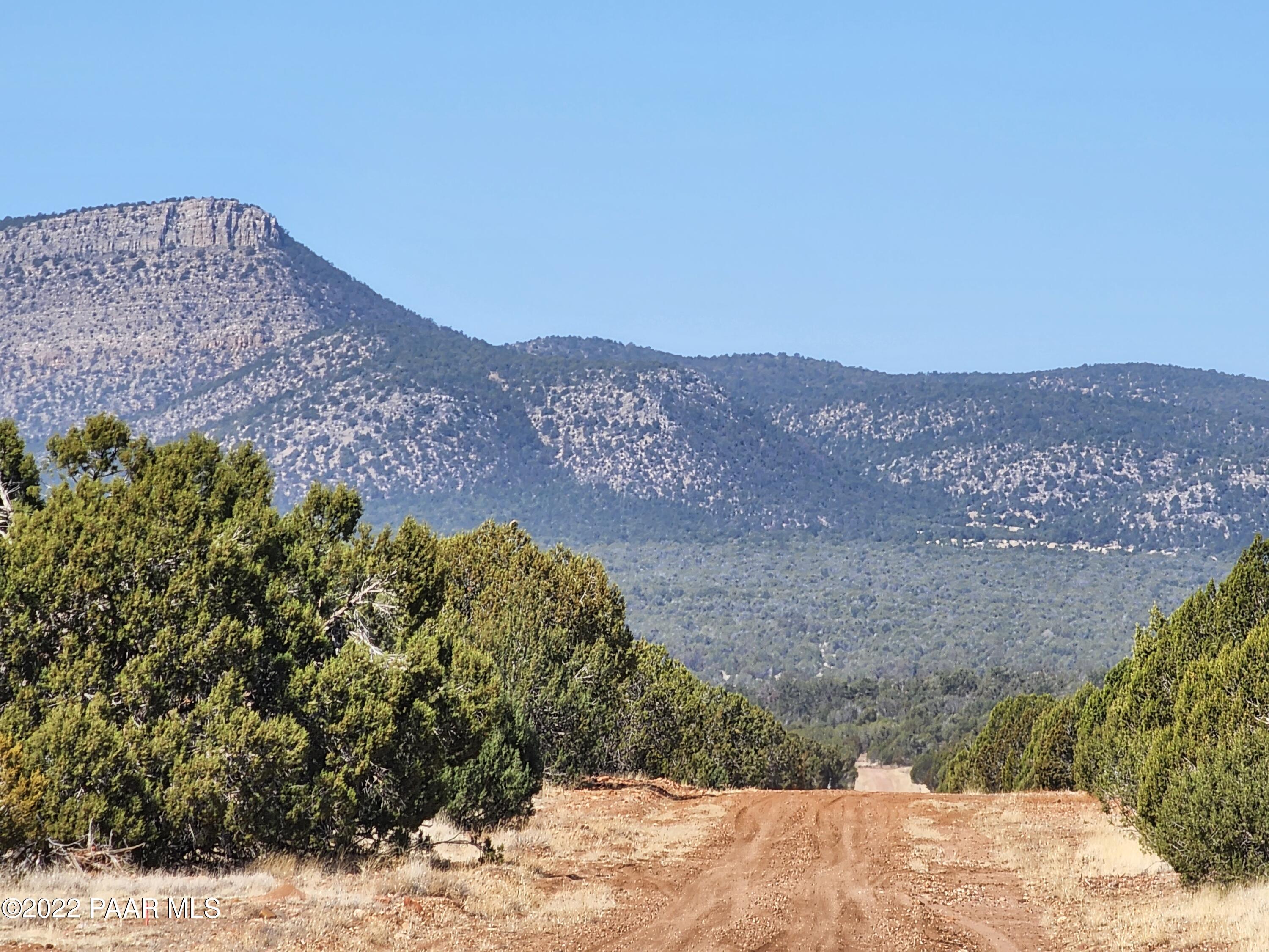 37306 West Howling Coyote Road Seligman, AZ 86337 - Photo 11 of 20 20220402_103610