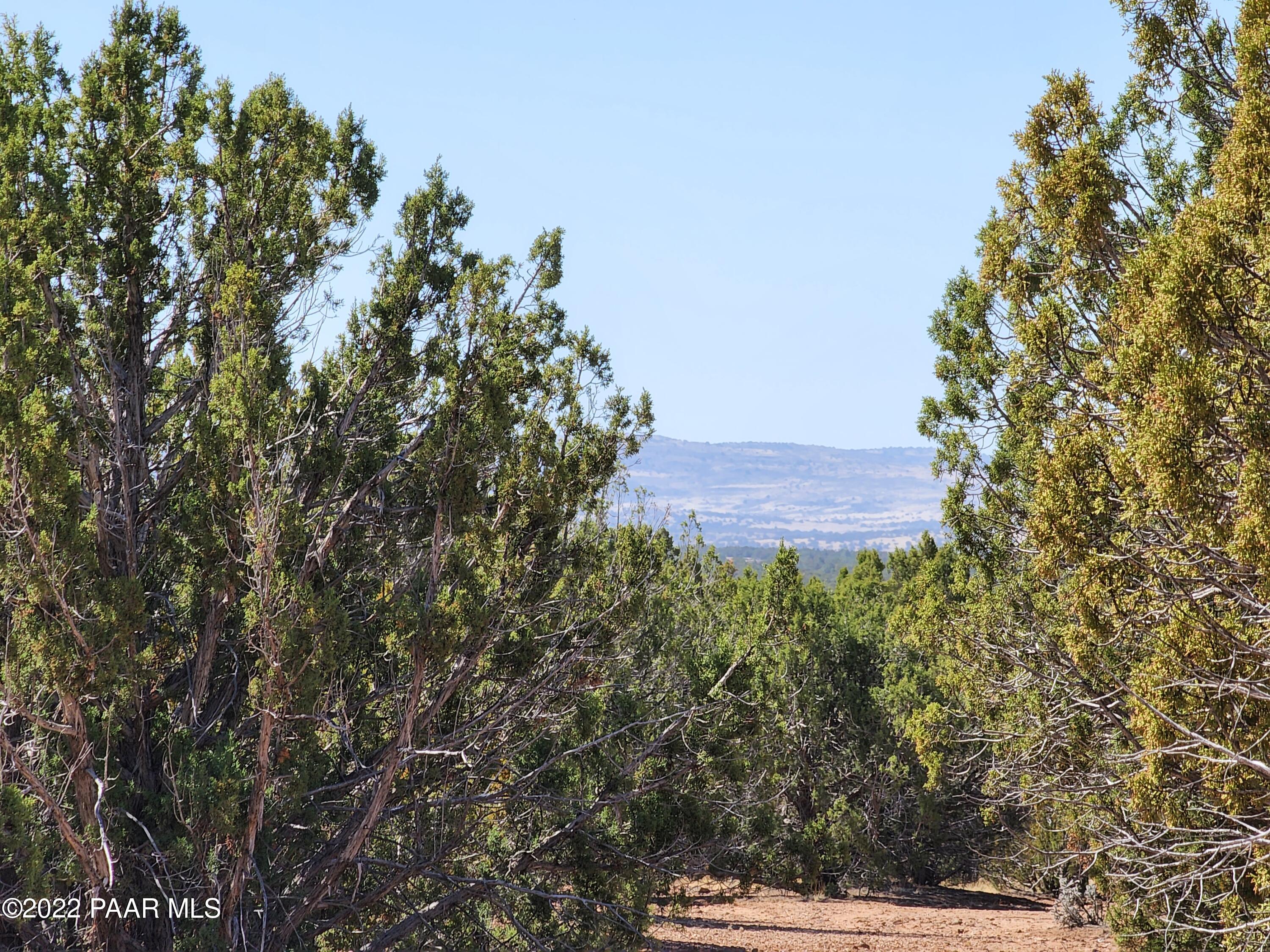 37306 West Howling Coyote Road Seligman, AZ 86337 - Photo 8 of 20 20220402_102509
