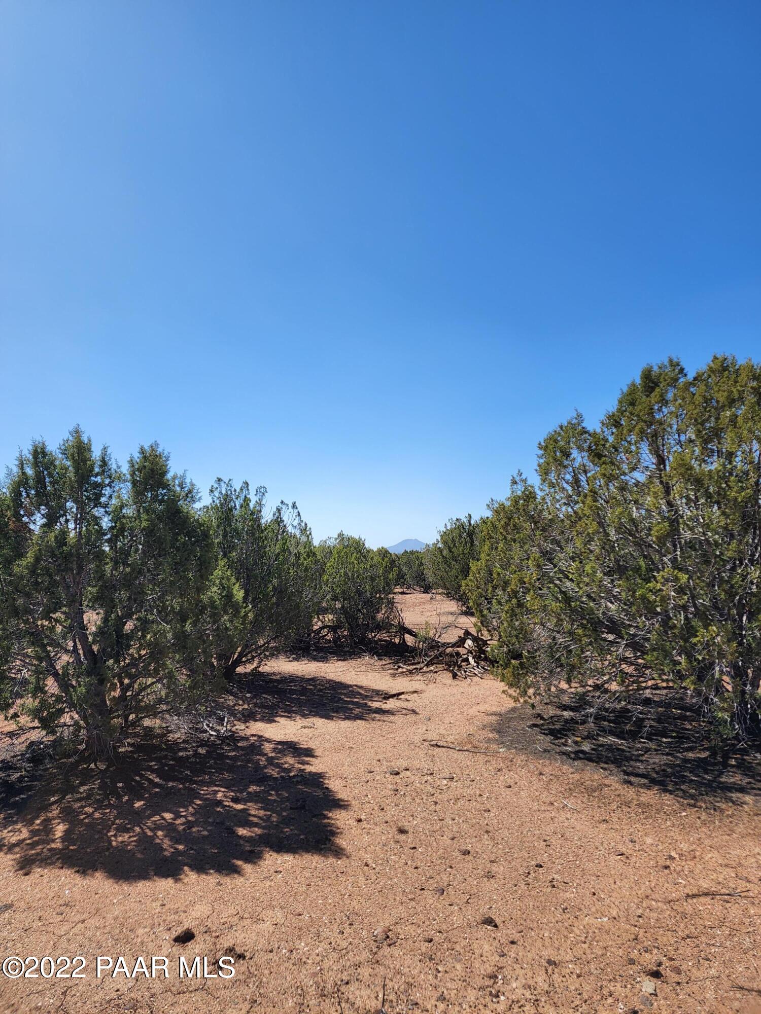 37306 West Howling Coyote Road Seligman, AZ 86337 - Photo 10 of 20 20220402_102807