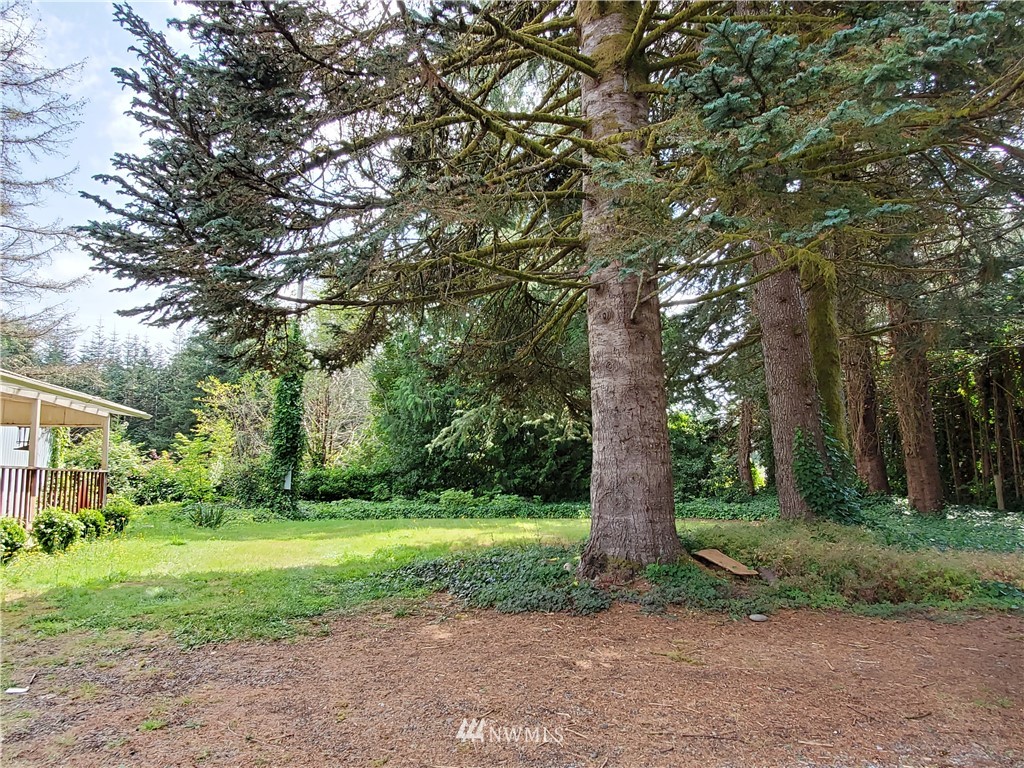 203 Satsop Riviera Loop Elma, WA 98541 - Photo 1 of 2 Gallery Image 1