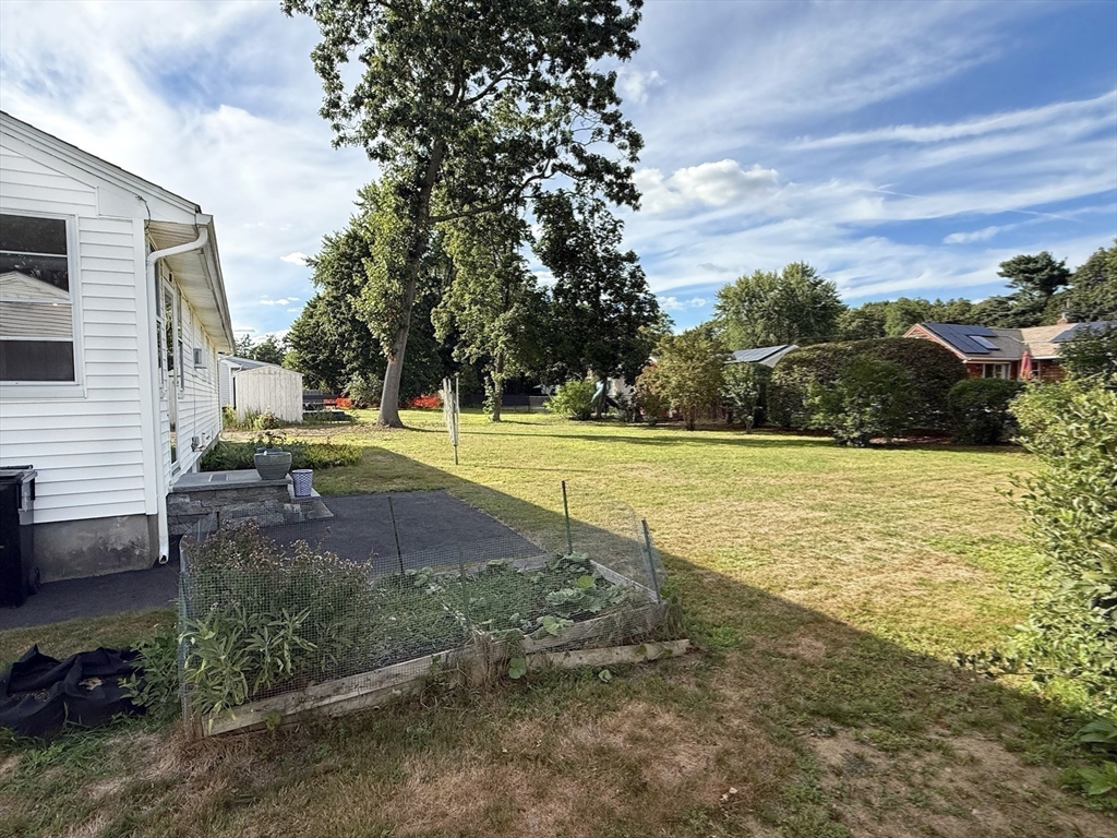 11 Webb Road Sharon, MA 02067 - Photo 19 of 19 a view of a yard with swimming pool