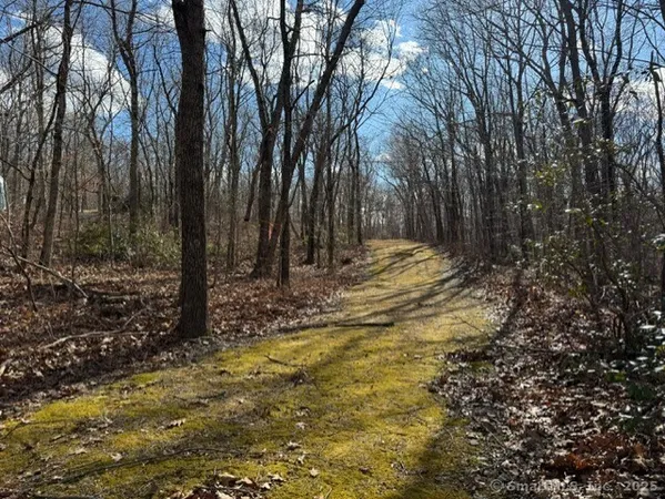 a view of a yard with trees