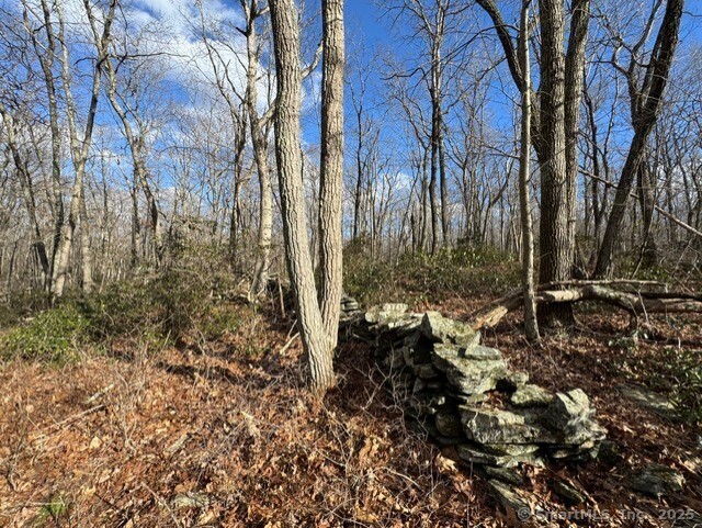 Laurel Street Middletown, CT 06457 - Photo 6 of 11 a view of a yard with trees