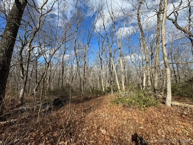 a view of backyard with tree