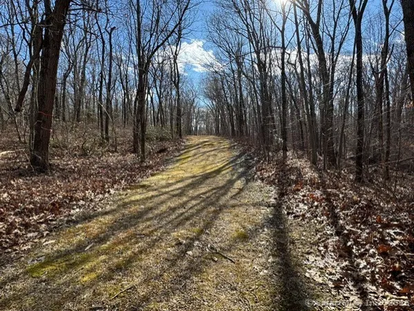 a view of a yard with trees