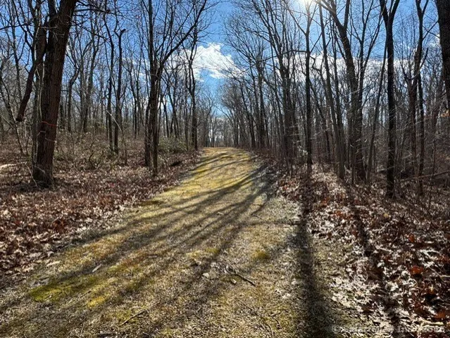 a view of a yard with trees