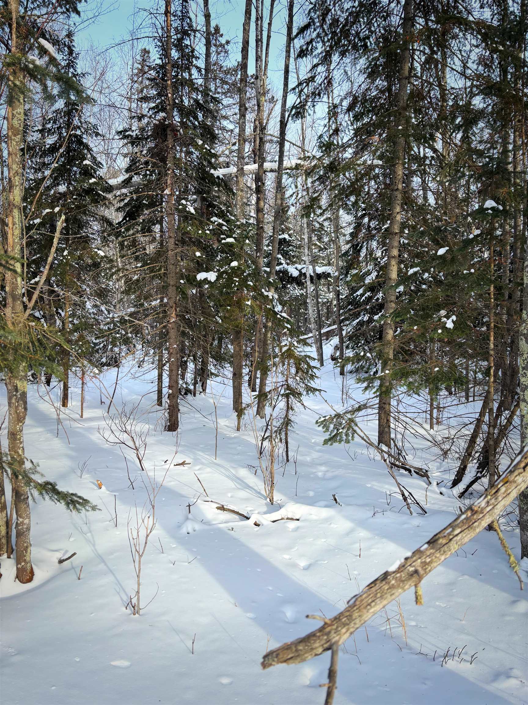 0 Airport Road Port Wing, WI 54865 - Photo 2 of 7 View of yard
