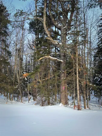 $54,000 | 0 Airport Road, Port Wing, WI 54865