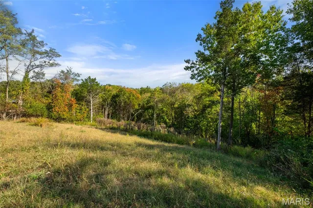 $450,000 | 9 Wildwood Point Court, Wildwood, MO 63005