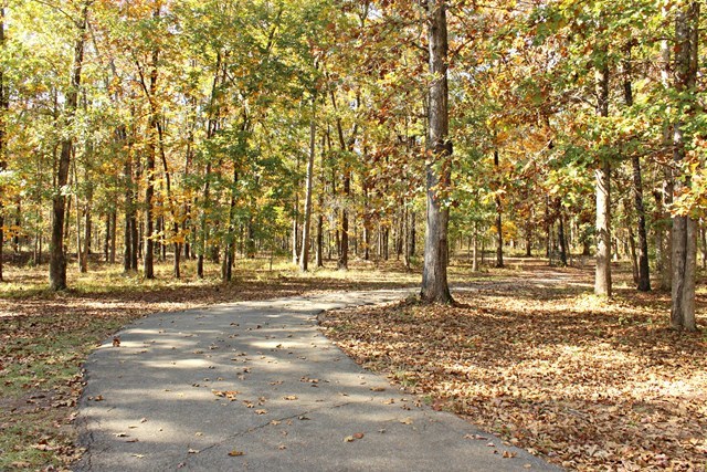 683 Sanders Road Macon, GA 31210 - Photo 18 of 19 a view of yard with trees