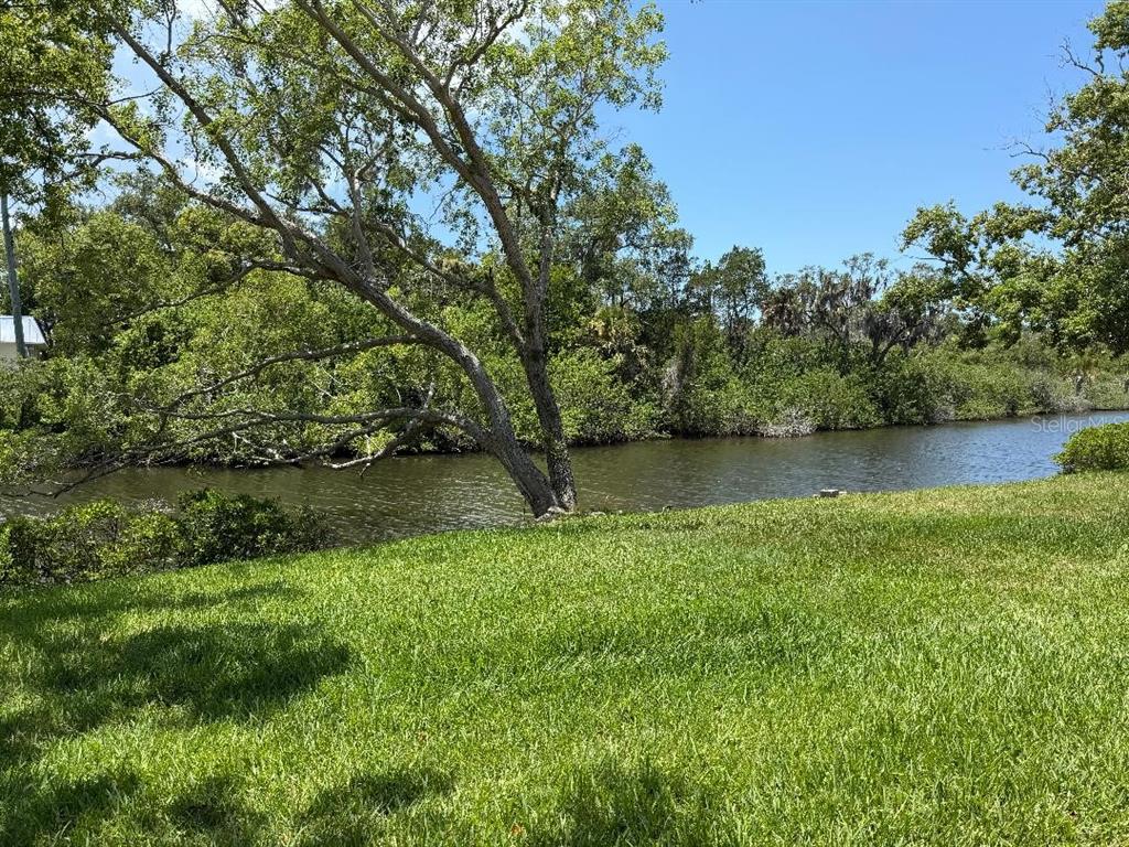 4142 Hampton Drive, Unit 4142 New Port Richey, FL 34652 - Photo 4 of 39