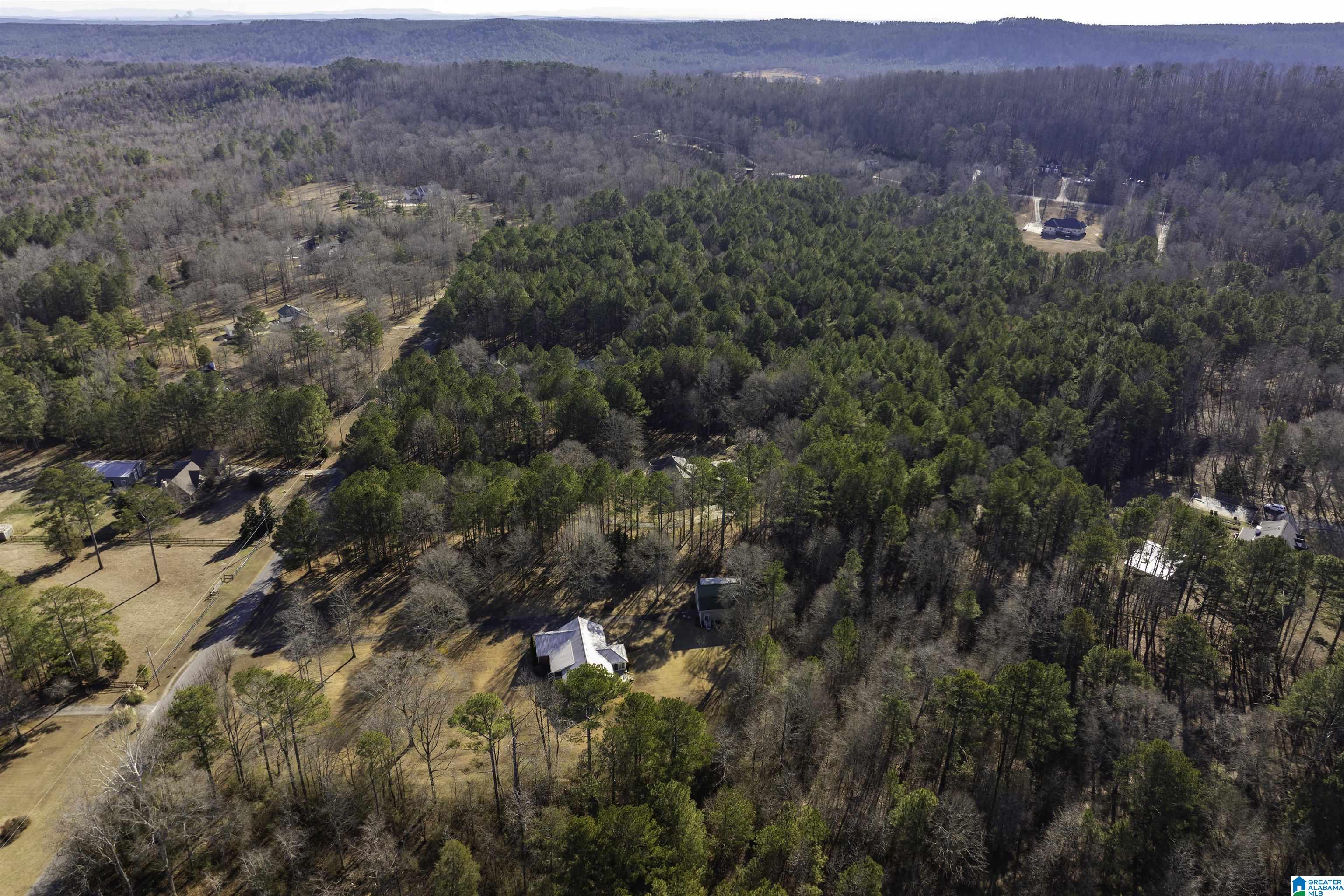 1115 Beaver Ridge Circle Ashville, AL 35953 - Photo 36 of 42 Gallery Image 36
