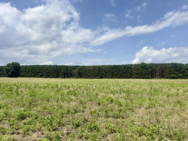 0 Seymour Road, Unit PARCEL F Grass Lake, MI 49240 - Photo 1 of 14 Main Photo
