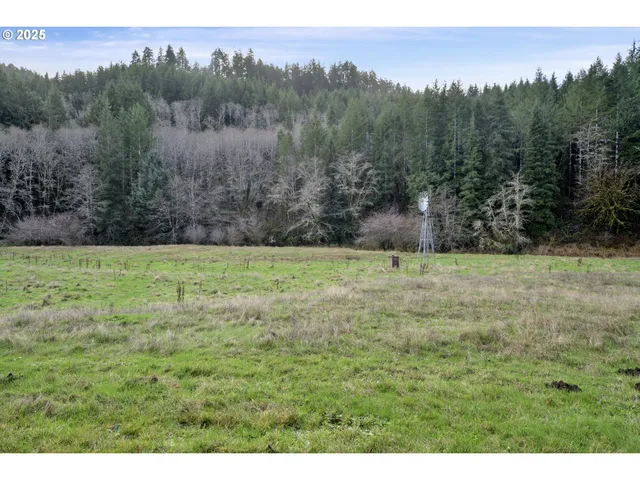 a view of a lush green hillside and houses