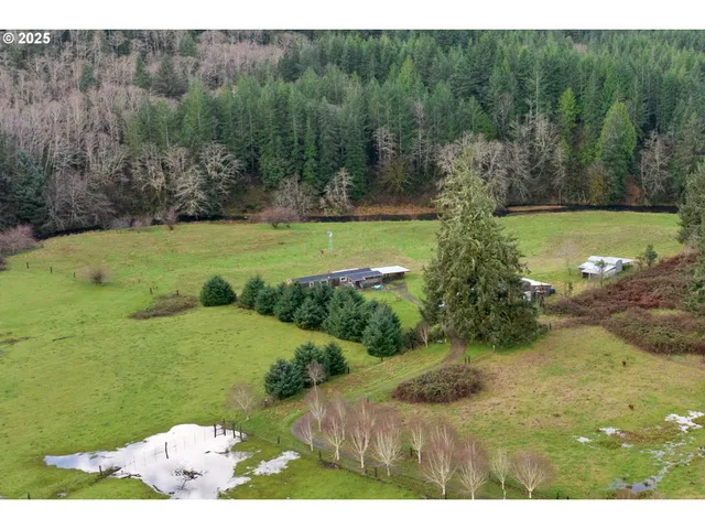 a white bath tub sitting in the middle of a forest