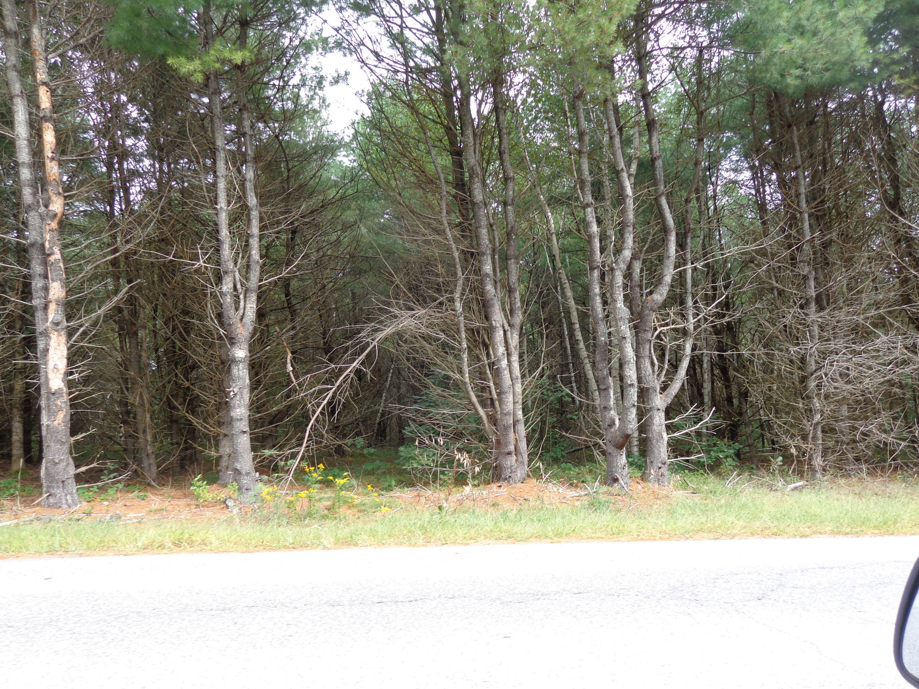 0 Gardiner Road Jefferson, ME 04348 - Photo 8 of 17 DSC01728
