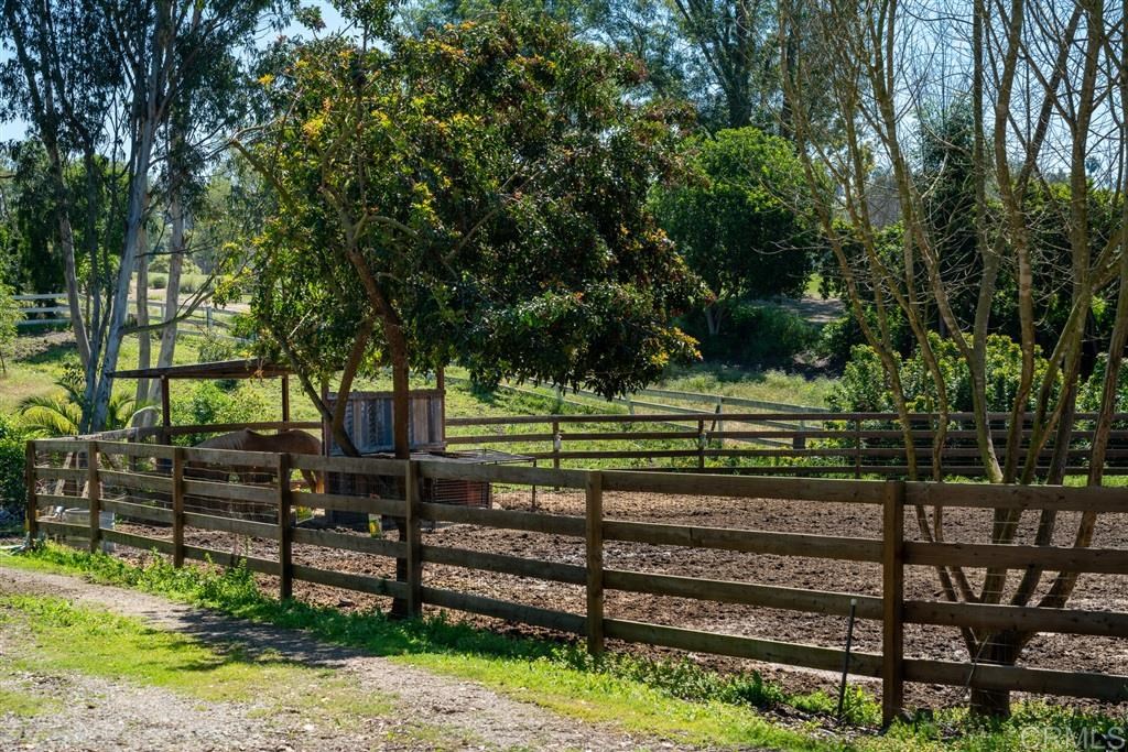 6253 Mimulus Rancho Santa Fe, CA 92067 - Photo 10 of 11