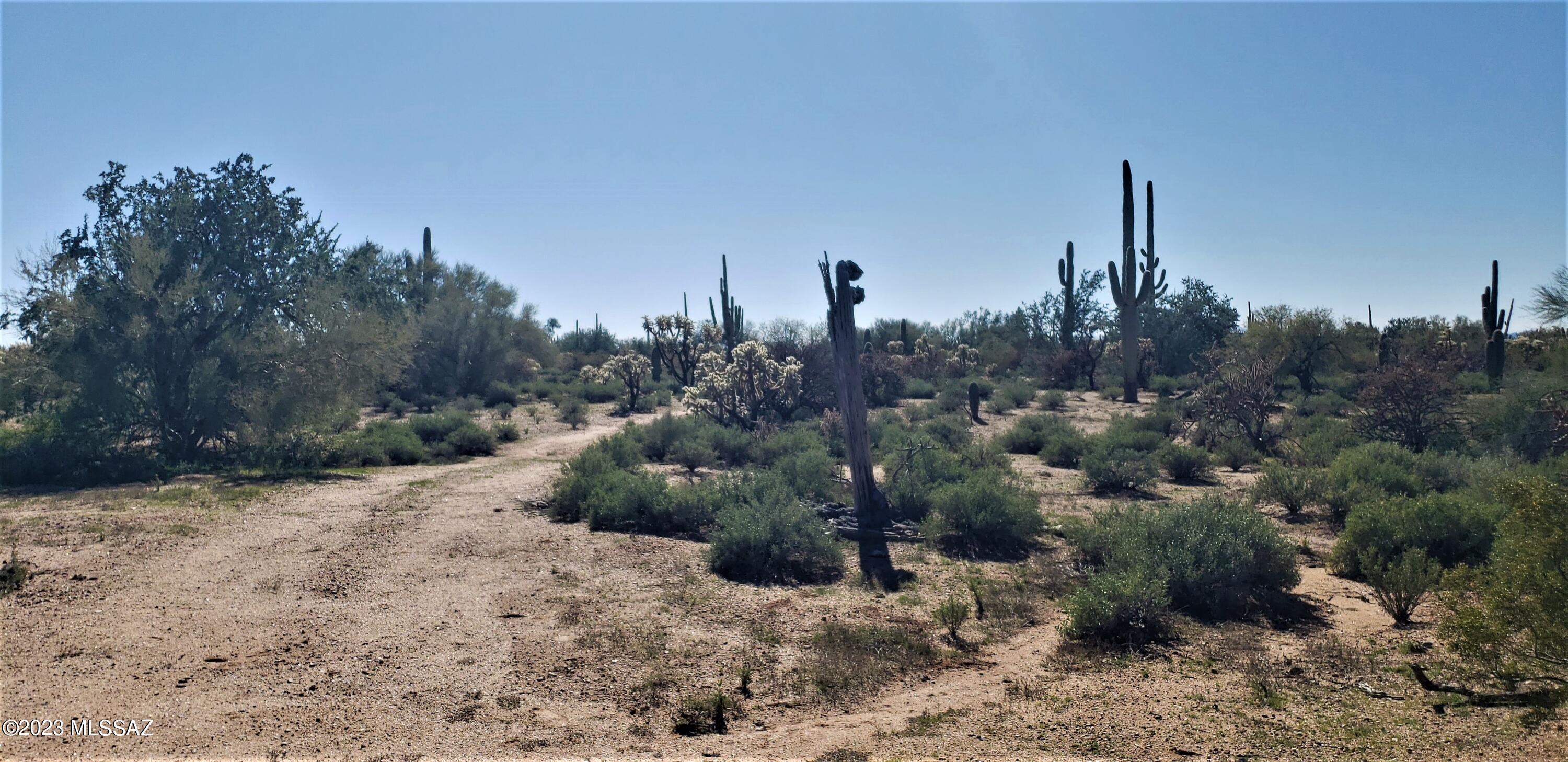 Tbd East Anaconda Road Marana, AZ 85658 - Photo 19 of 21 Gallery Image 19