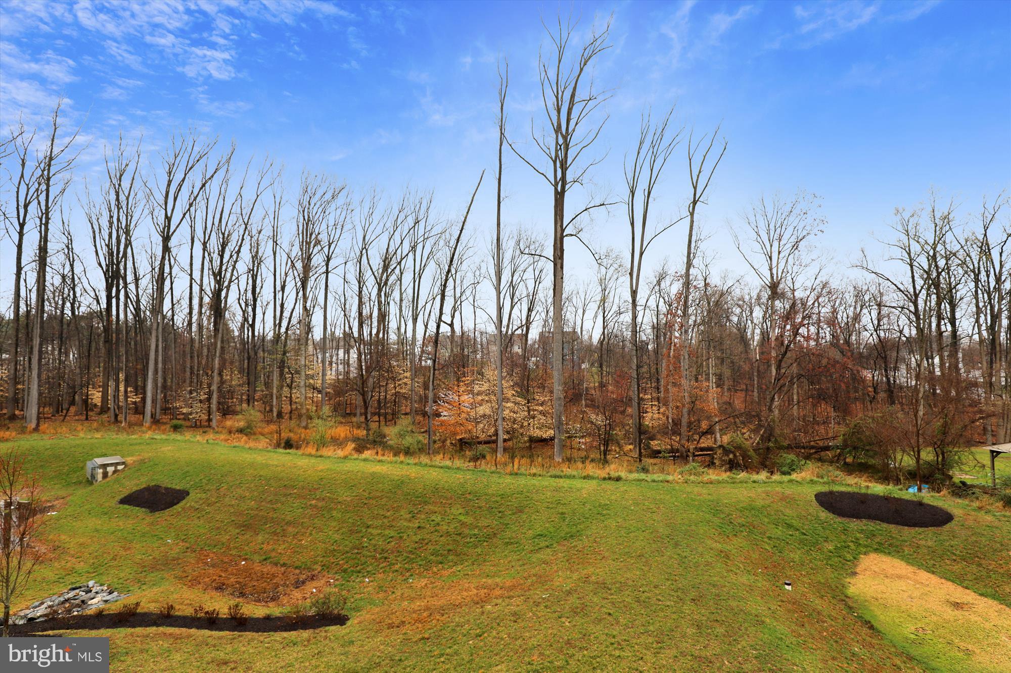 14411 Vedanta Way Silver Spring, MD 20906 - Photo 8 of 61 Gallery Image 8