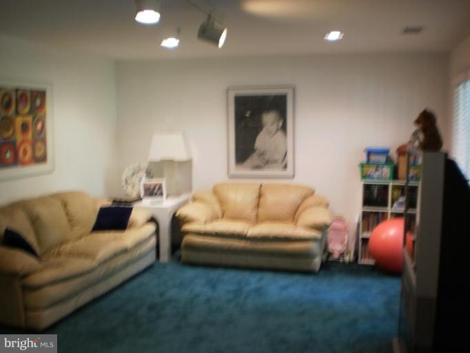 113 Lancefield Road Baltimore, MD 21209 - Photo 22 of 27 Recreation Room