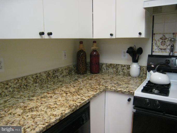 113 Lancefield Road Baltimore, MD 21209 - Photo 26 of 27 BRAND NEW granite tops!