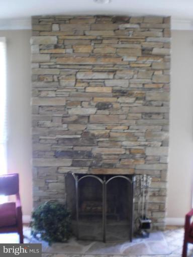 113 Lancefield Road Baltimore, MD 21209 - Photo 5 of 27 Fireplace