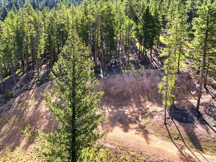 $222,500 | 6824 Lynx Lair Road, Evergreen, CO 80439