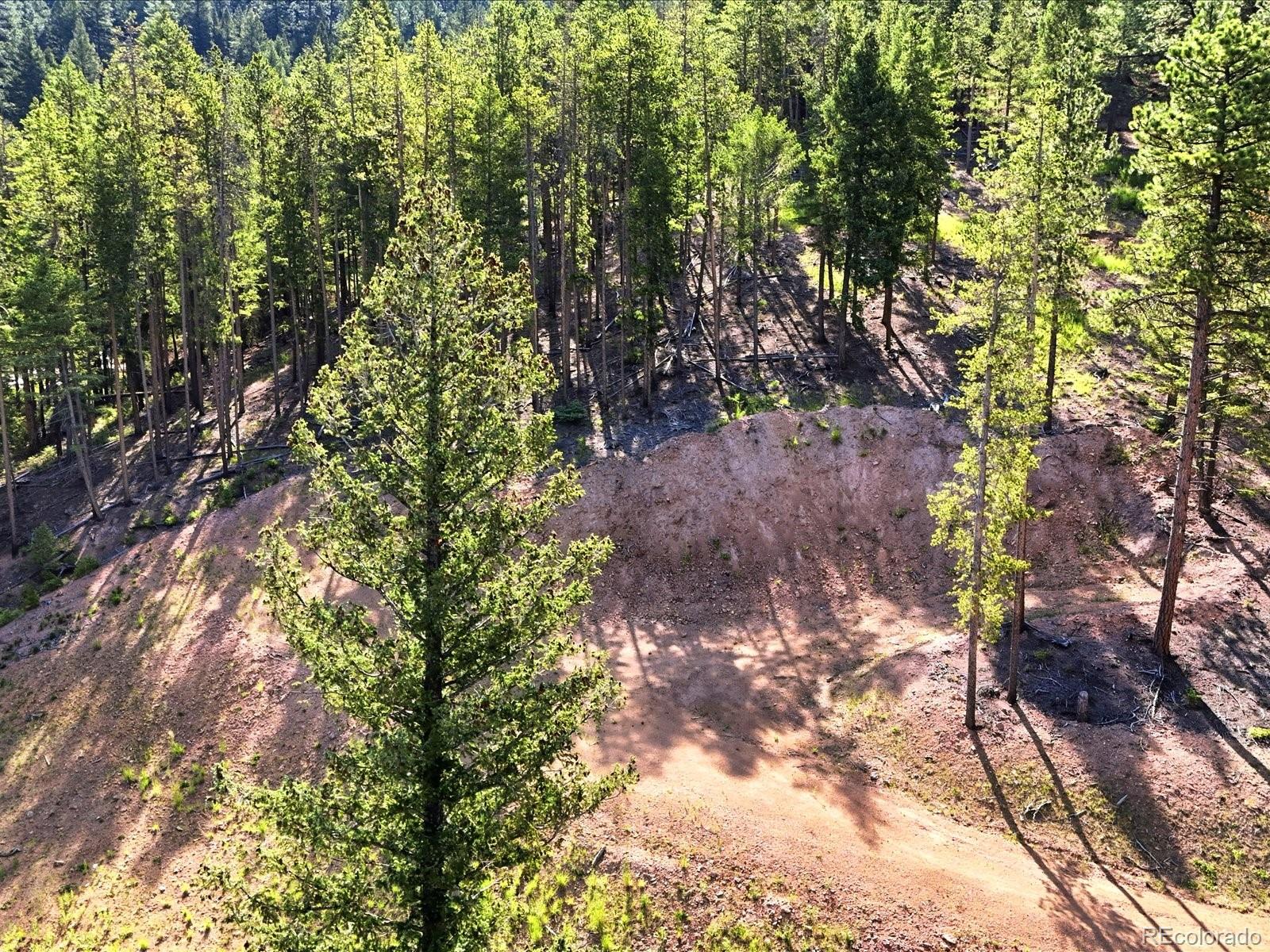 6824 Lynx Lair Road Evergreen, CO 80439 - Photo 5 of 11