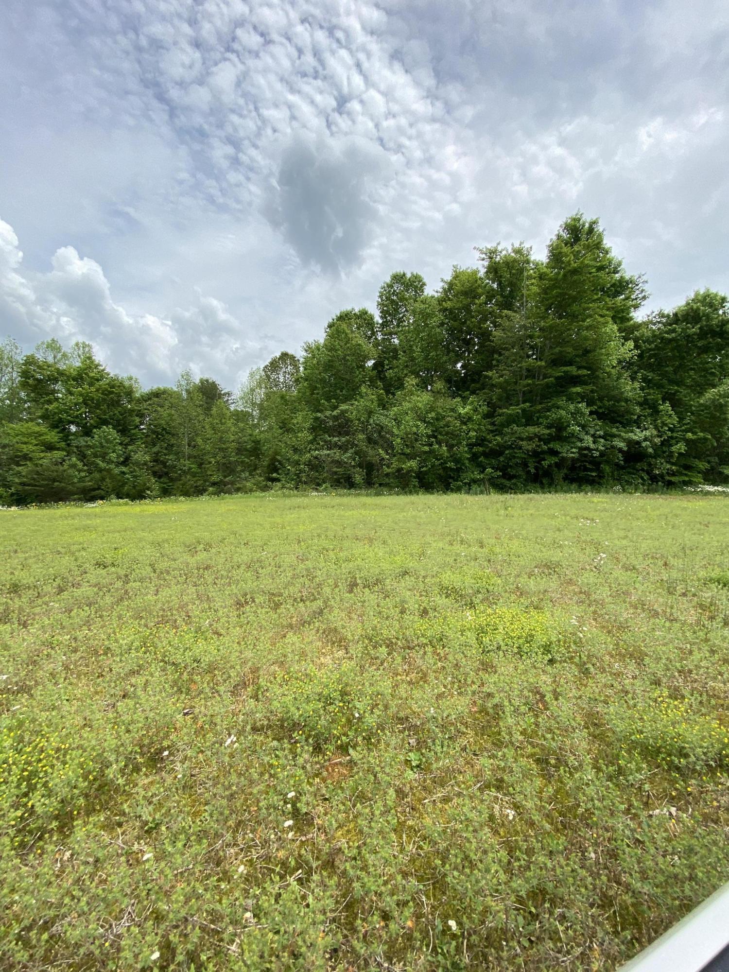 123 South Fork Ridge Road Liberty, KY 42539 - Photo 25 of 28 ADF40F41-F149-44F0-80B3-10F2321A3F94<|>P